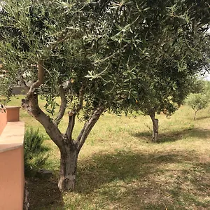 Domo Baronia Appartement Orosei